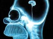 ZAPATERO SIGUE PRESUMIENDO ‘IMBECILIDAD’ Recientemente secretario general Organización Estados Americanos (OEA), uruguayo Luis Almagro, dijo textualmente: señor Zapatero tiene problema grande comprensión definitivament...