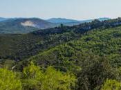 Ruta Fonts Olèrdola, recorrido historia hombre