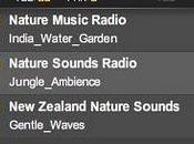 Nature Music Radio