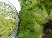 Volcán Ensalada Templada