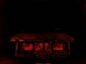 cabin woods curioso nuevo poster