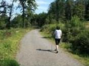 Nordic walking Aracena