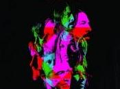 Fighters Wasting Light (2011)