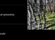 Editor imágenes para Android