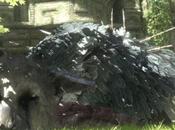 'The Last Guardian' pack 'ICO SotC' retrasados