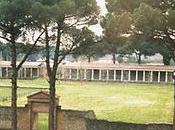 gajes palestra