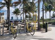 Pompano Beach Park Atlantis