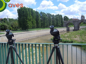 Madrid Río, escuela jóvenes pajareros