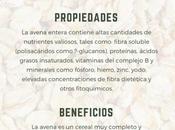 dieta avena
