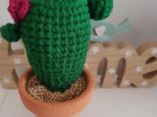Cactus confusión
