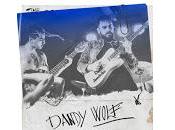 Dandy Wolf Stereozone Black Note Club