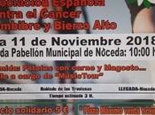 Ayuntamiento Noceda AECC León organizan ruta solidaria