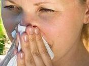 Antihistamínicos Naturales: opciones para eliminar síntomas Alergia