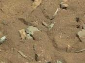 NASA encuentra restos dinosaurio Marte