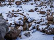 Agua bajo nieve