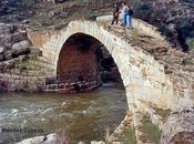 relato sobre Cañadas Transhumantes