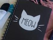 Compras semana (Haul moda complementos)