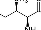 Isoleucina