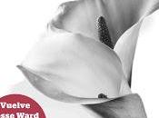 Reseña Devoción, Jodi Ellen Malpas