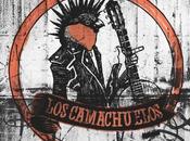 Camachuelos