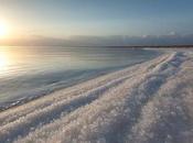 Maravillas Israel: Muerto