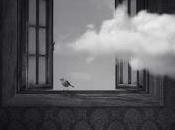 Están ardiendo ojos...