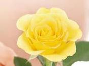 Primeros síntomas embarazo: cómo reconocerlos