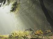 #naturaleza madre TIERRA