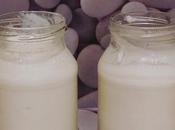 Yogur natural fermentos lacticos