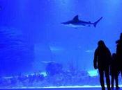 Atlantis aquarium, acuario interactivo basado cambio climático