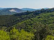 Paisaje Olèrdola