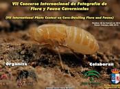 Concurso Internacional Fotografía Flora Fauna Cavernícolas (VII International Photo Contest Cave-Dwelling Fauna)