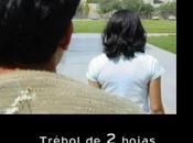 Trébol hojas