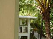 estoy lejos chismes faránduleros