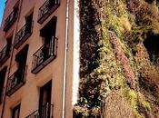paseo CaixaForum(Madrid)