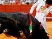 prohibe roncar