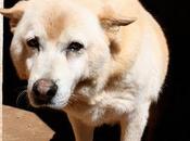 ¿Qué podemos decir Cono, mirada habla sola?