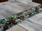 Hacer mesa centro para jardín decorada suculentas