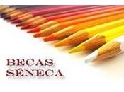 Becas Seneca movilidad España 2011