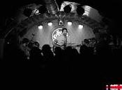 Inlogic perro parte atrás coche, cierre perfecto