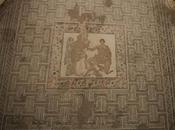 Oecus, exedra, diaeta, salones recepción domus romana