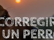 Consejos para corregir perro