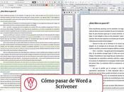 Word Scrivener: guía completa