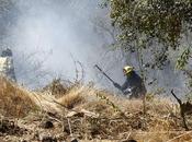 Bomberos denunció grupo jóvenes iniciar incendio forestal Curauma