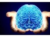 Cerebro Humano reconstruye Experiencia Orden Inverso