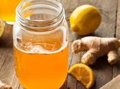 Kombucha, elixir eterna juventud