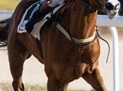 bate récord inscritos celebrará carreras este domingo