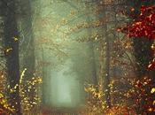 naturaleza CONSCIENCIA