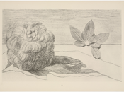 Ernst “Historia Natural”. Incluye Prefacio artista escribió para álbum.