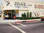 imprescindibles vans